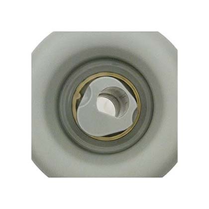 Picture of Luxury Jet Adj. Swirl Nozzle Pfw9840Ww