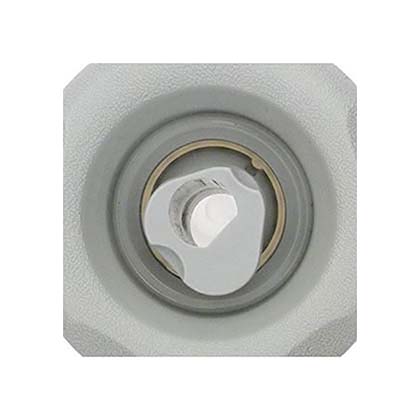 Picture of Luxury Jet Adj. Swirl Nozzle Pfw9846Ww