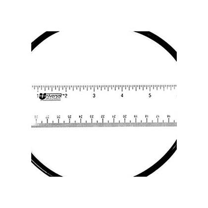 Picture of Rainbow Filter Lid O-Ring R172223