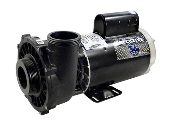Picture of Pump Executive 56, 5.0HP, 230V 2-Spd 2-1/2" x 2"MBT 56-Frame 372202113