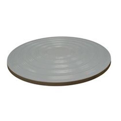 Picture of Skim Filter Lid Pentair Rainbow DSF/Safety Skim 7-1/2"od R172468