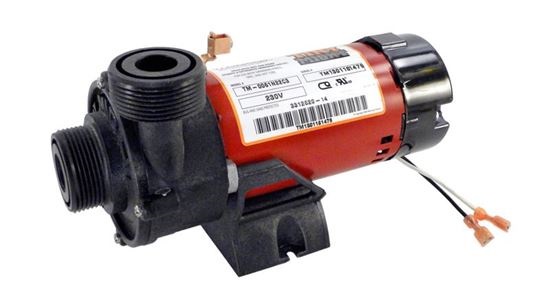 Picture of Circulation Pump Tiny Might 1/16hp, 230v, 1/2"s x s/1"Union 331262014