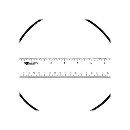 Picture of O-Ring Pentair Purex Whisperflo Seal Plate Pre 6/94 071445