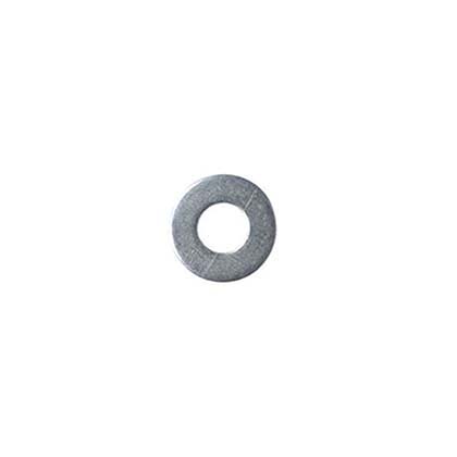 Picture of Washer Pentair Purex Whisperflo/IntelliFlo 1/4-20 072183