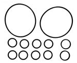 Picture of O-Ring Kit Zodiac Jandy NeverLube Backwash Valve R0552400