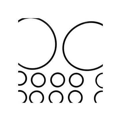 Picture of O-Ring Kit NeverLube Backwash Valve R0552400