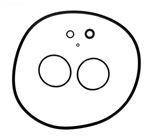 Picture of O-Ring Kit Zodiac Jandy CS Series R0466300