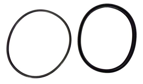 Picture of O-Ring, Lid PHPF R0449100