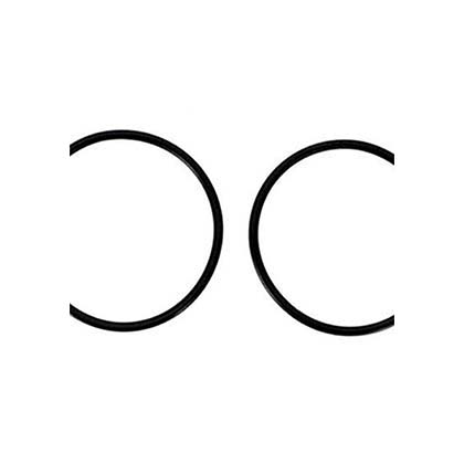 Picture of O-Ring, Tailpiece WFTR R0449200