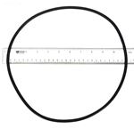 Picture of O-Ring Zodiac Jandy CS Series Tank Lid R0462700