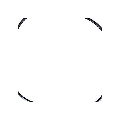 Picture of O-Ring PentairPacFab Sea Horse/FNS Tank Body O-420 195008