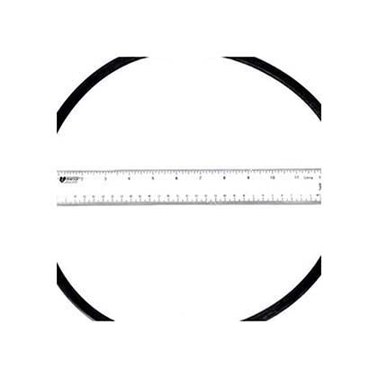 Picture of O-Ring Pacfab Tank Body 12" 174704