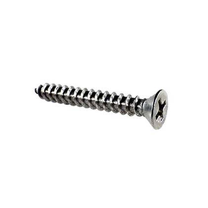 Picture of Screw Pentair PacFab Dual Bottom Cover 8 x 1-1/4" 552539