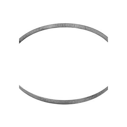 Picture of Back Up Ring Pentair PacFab FNS/FSH 195337