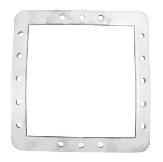 Picture of Gasket HydroSkim Skimmer Faceplate 513331