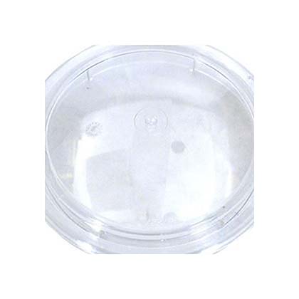 Picture of Lid Pentair OptiFlo Pump 357227