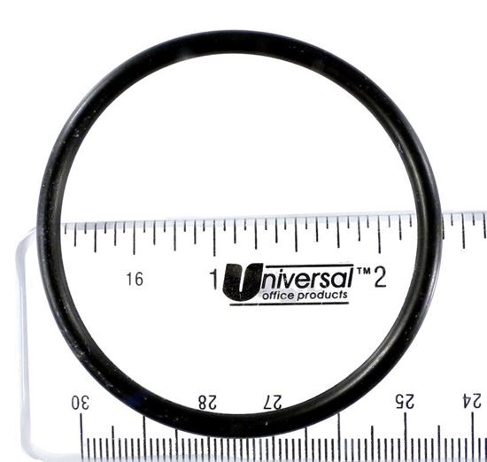 Picture of O-Ring Cap Pentair 273062