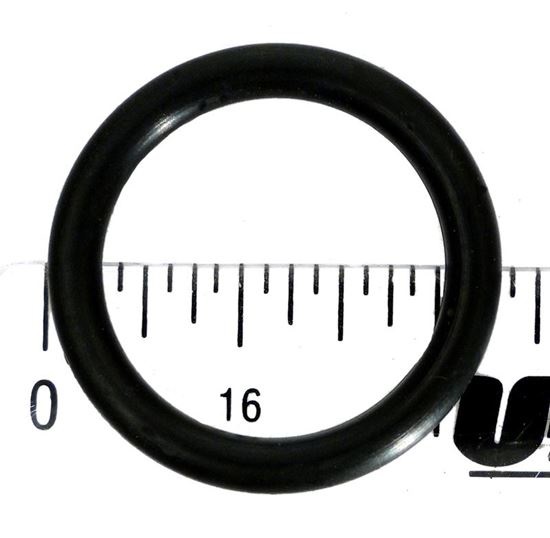 Picture of Oring Pentair Star Filter Shaft 191479