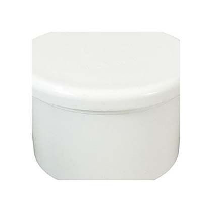 Picture of Plug 2"spigot Lasco 7159880