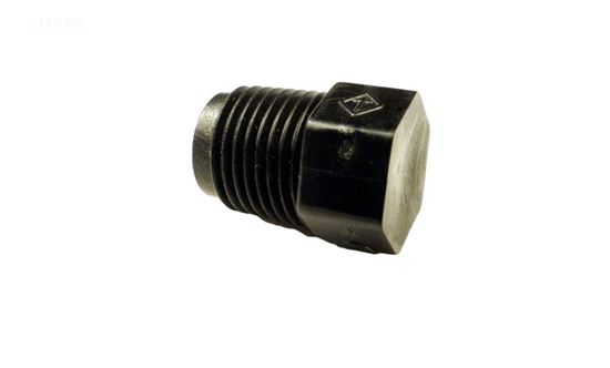 Picture of Drain Plug Booster Pump, 1/8" mpt p20