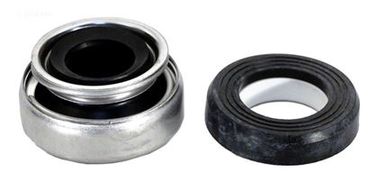 Picture of Pump Seal Ast254619601