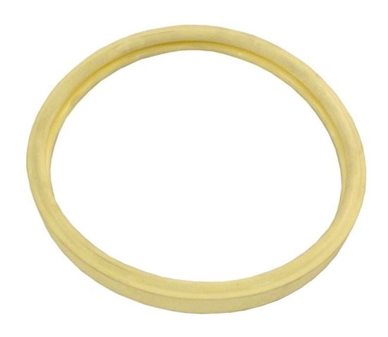 Picture of Gasket Kit Amerquartz Light Lens 79101601Z