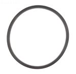 Picture of Quad Ring Zodiac Jandy JS60-SM/JS100-SM Tank Lid R0487400