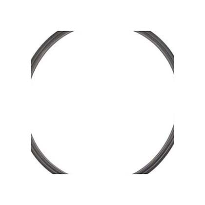 Picture of Quad Ring JS60-SM/JS100-SM Tank Lid R0487400