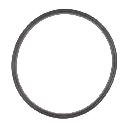 Picture of Quad Ring JS60-SM/JS100-SM Tank Lid R0487400