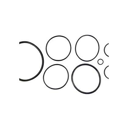 Picture of O-Ring Kit Zodiac Nature2 Fusion R0502500