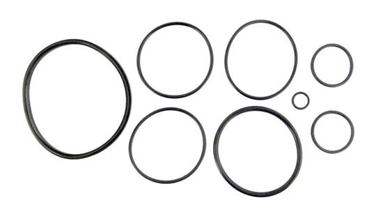 Picture of O-Ring Kit Zodiac Nature2 Fusion R0502500