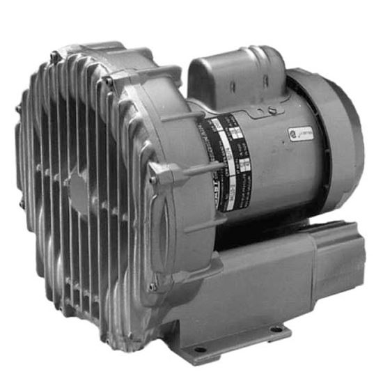 Picture of 2 1/2 Hp 115V 208V 230V Blower R51252