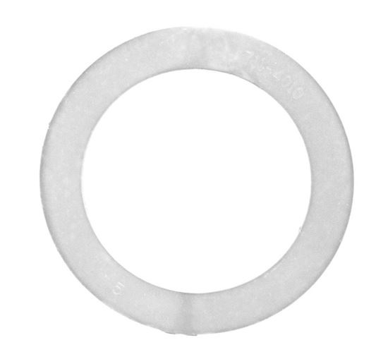 Picture of Gasket 2 Inch Union Flat 7114010