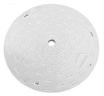 Picture of Skimmer Lid  PMT 9-7/8"od 43050509R