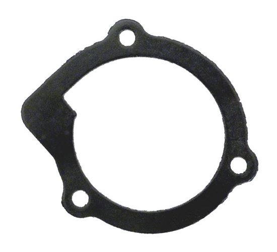 Picture of Gasket Volute PE-1 101604