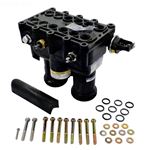 Picture of Manifold Kit Pentair MasterTemp 250 460748