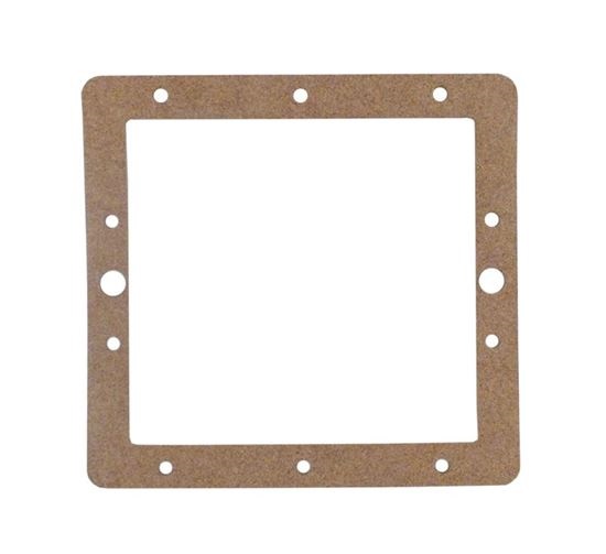 Picture of Gasket Pentair American Products FAS Skimmer Faceplate Back 85003300