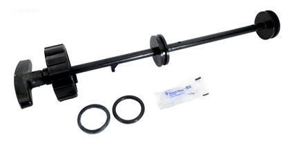 Picture of Piston Assembly Pentair American Products ABS 2" Valve 51013811