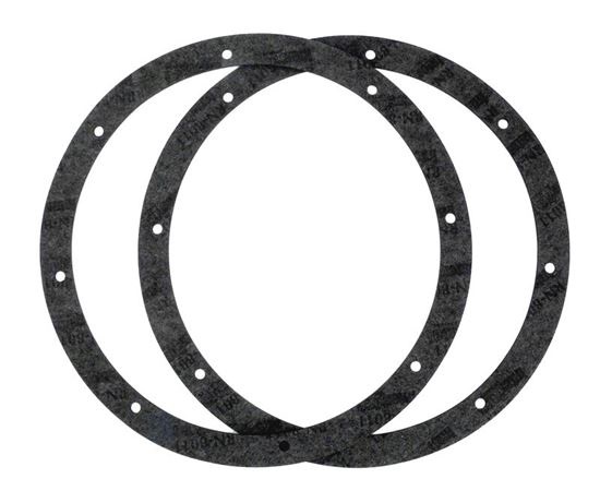 Picture of Light Niche Gasket Kit Pentair Amerlite 8-Hole Vinyl 79200300