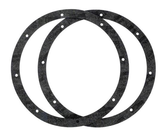 Picture of Light Niche Gasket Kit 8-Hole Vinyl 79200300