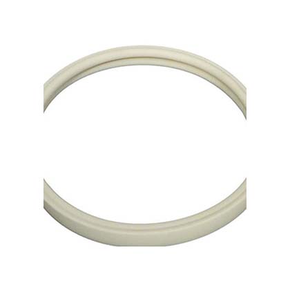 Picture of Gasket Pentair AmerLite Light Lens 8-3/8" 79101600Z