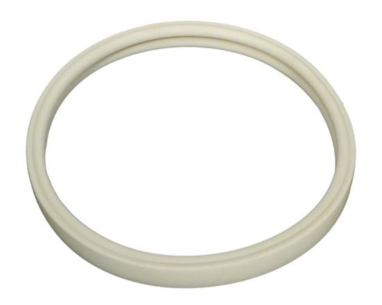 Picture of Gasket Pentair AmerLite Light Lens 8-3/8" 79101600Z