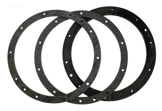 Picture of Niche Gskt KitPentairAmerlite10-HoleVinylw/Dbl Wall Gskt 79200700