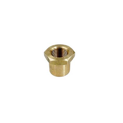 Picture of Anthony insert brass nut an017576