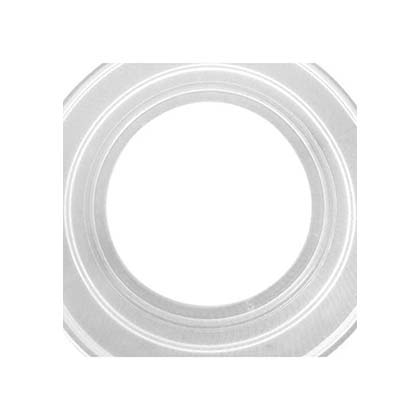 Picture of Light Gasket Pentair Aqualuminator 79116800