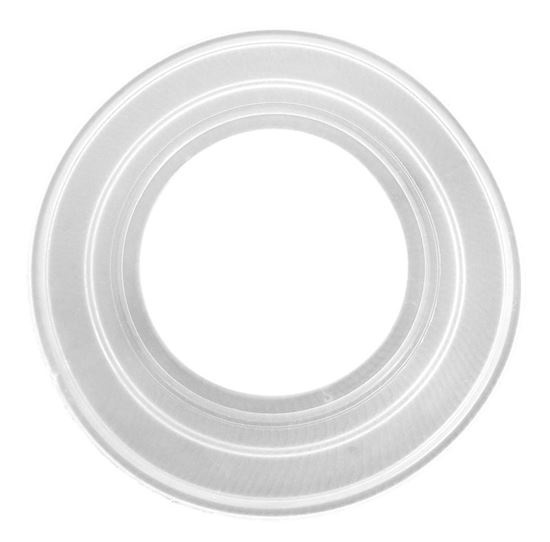 Picture of Light Gasket Pentair Aqualuminator 79116800