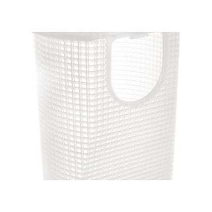 Picture of Basket & Extention Assy Champion Pool Pump 3191430