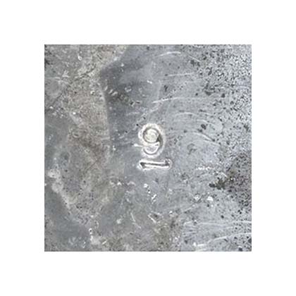 Picture of Beta Weight W90147