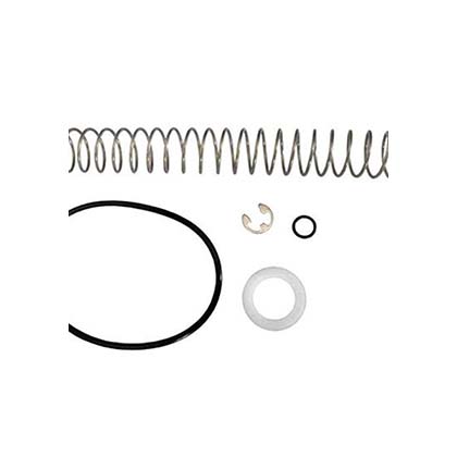 Picture of ByPass Spring Jandy LRZE/LRZM/LXi R0453900