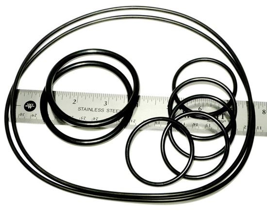 Picture of Caretaker o-ring kit ct5131